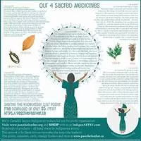 4 Sacred Medicines Poster - IndigenARTSY