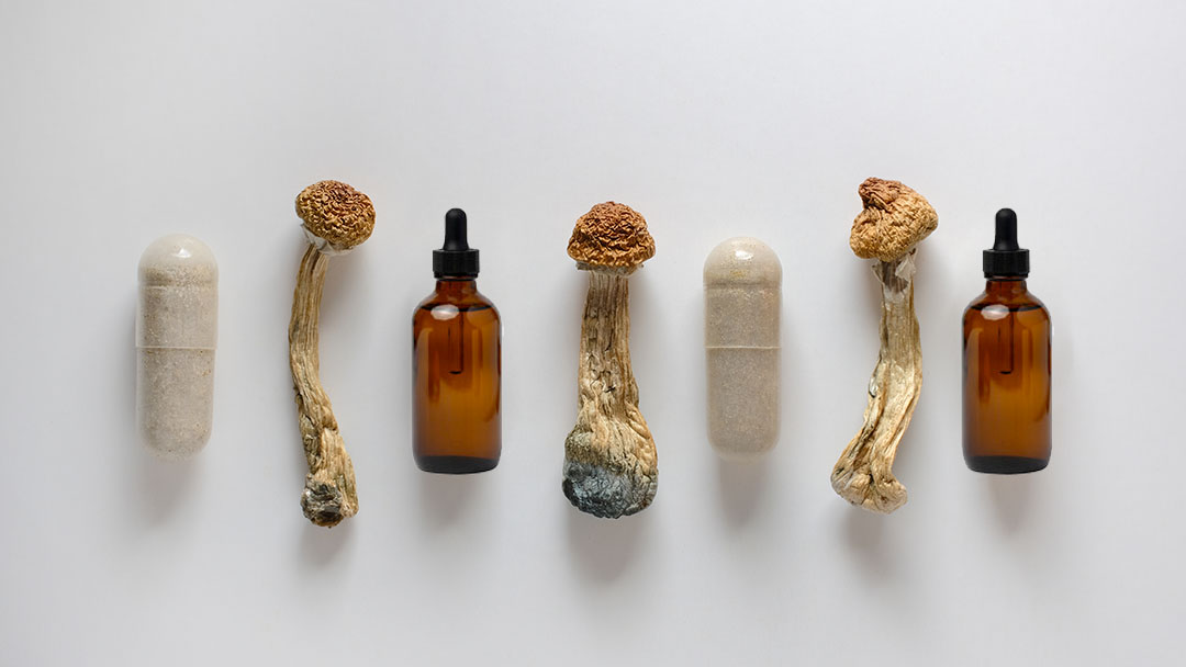 Psilocybin Powder vs. Liquid: What You Need To Know